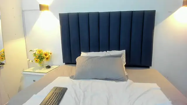 Perlastonne webcam