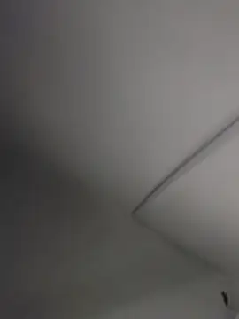 Elinaax webcam