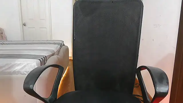 Mini_Meera webcam