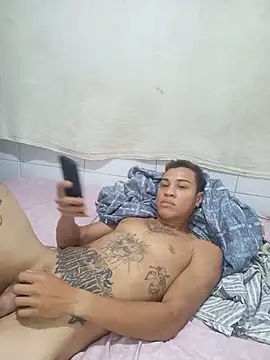 dualzinhoo webcam