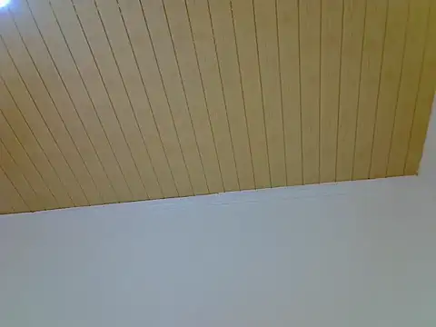 Juicymelonia webcam