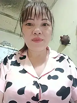 Sana-vn webcam