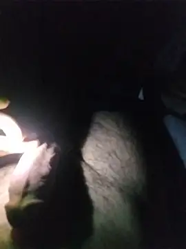 Alpha0300 webcam