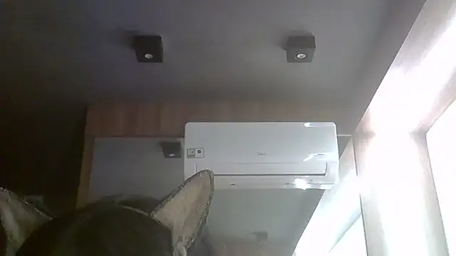 SkinnyKitten webcam