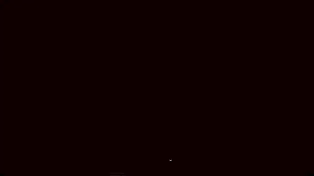 Lyricca webcam