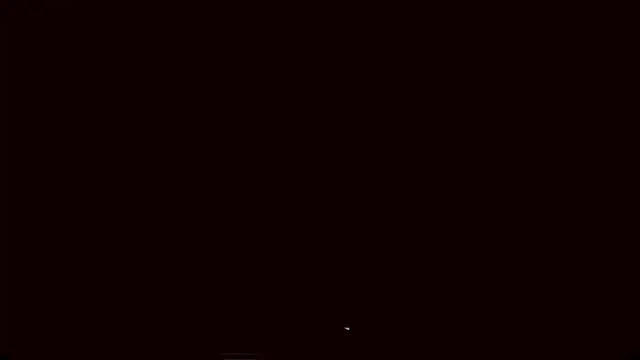 Lyricca webcam