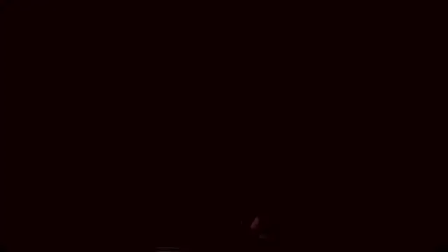 Lyricca webcam