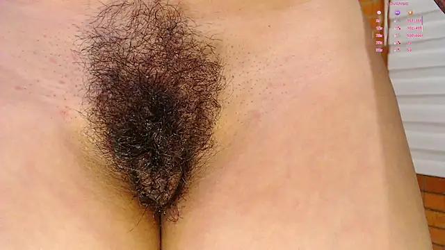 Salome-sw webcam