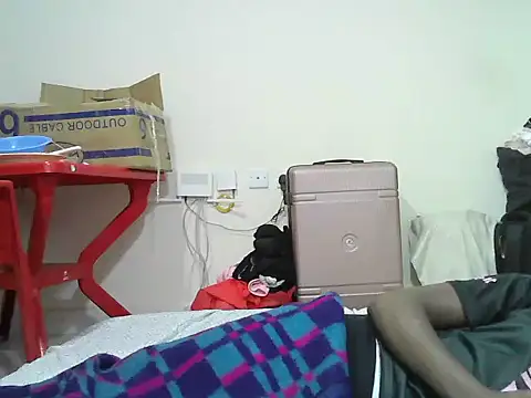 Paseski webcam