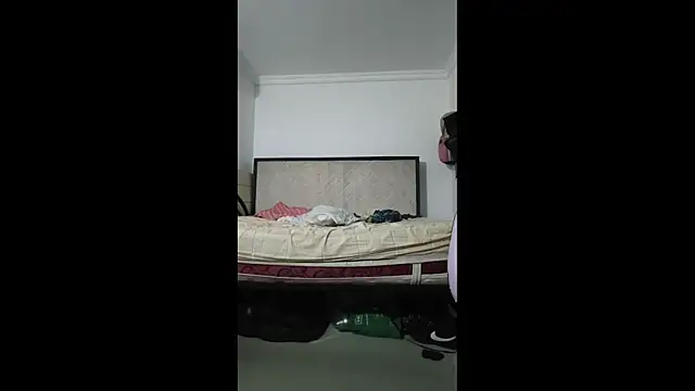 sky_dancers webcam