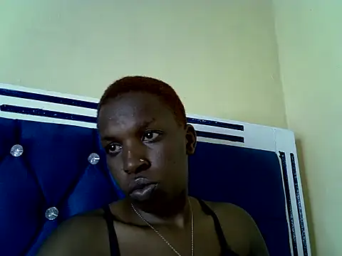 MayaMuse3 webcam