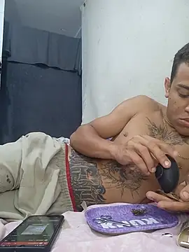 dualzinhoo webcam