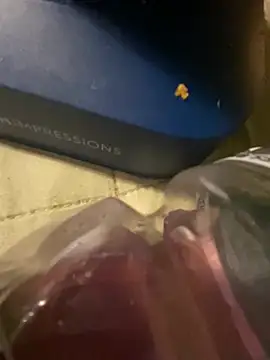 charactrzero live cam on StripChat