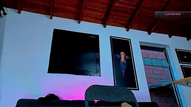 SilvaBranko webcam
