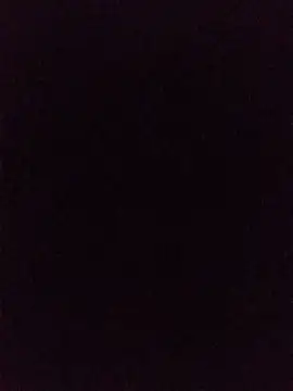 hairy_mannn