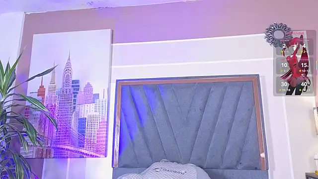 VelvetFox_ webcam