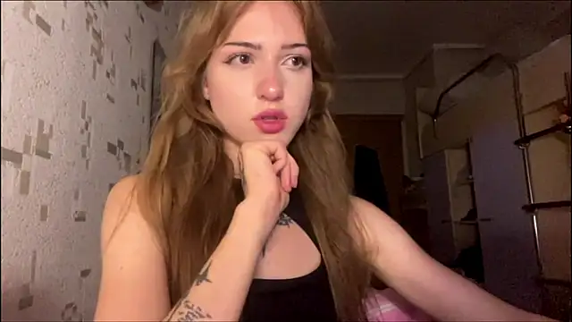 chipsis webcam