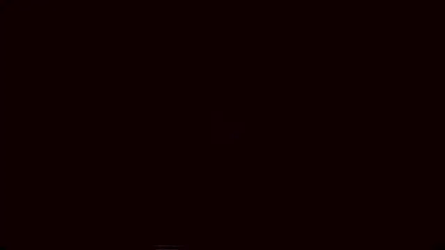 Lyricca webcam