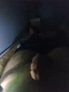 Alpha0300 webcam