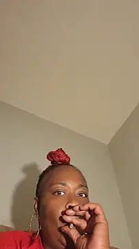 AllLeggs webcam