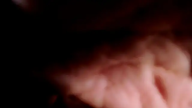 CatarinaMayer_ webcam