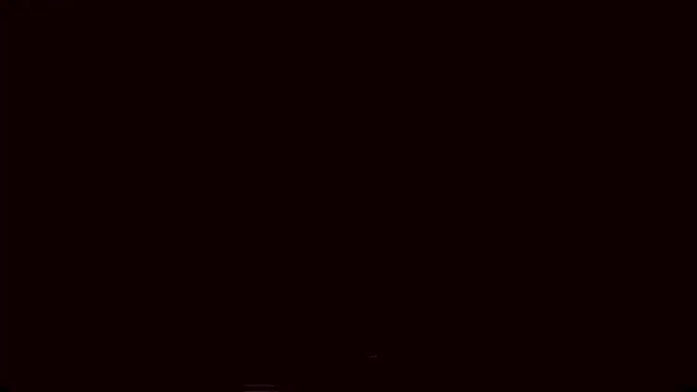 Lyricca webcam