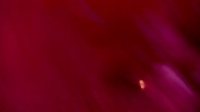 camilaa_smith_ webcam
