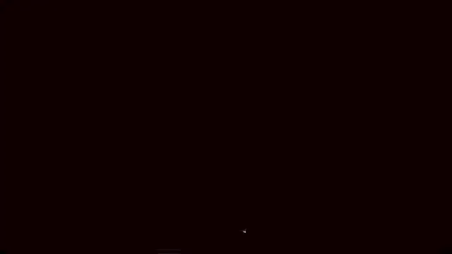 Lyricca webcam