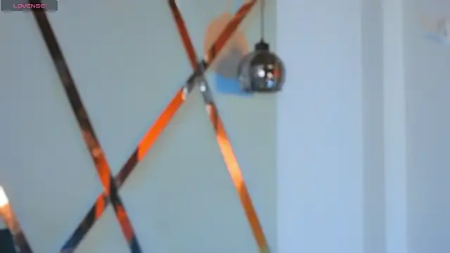 MeelFox webcam