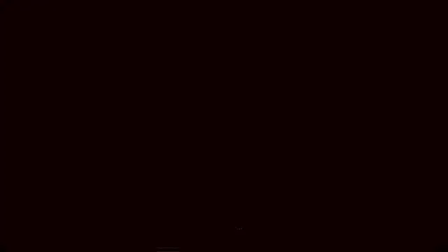 Lyricca webcam
