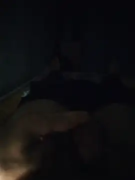 Alpha0300 webcam