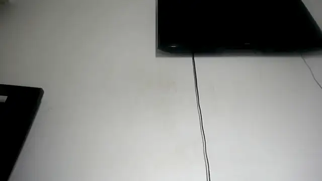 Fox_Loves webcam