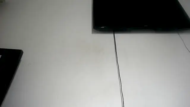 Fox_Loves