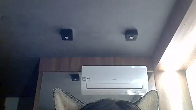 SkinnyKitten live cam on StripChat