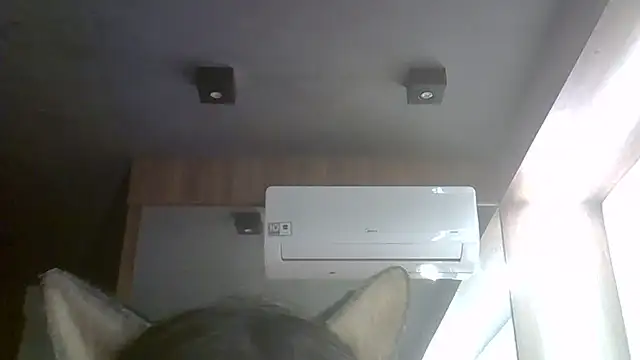 SkinnyKitten webcam