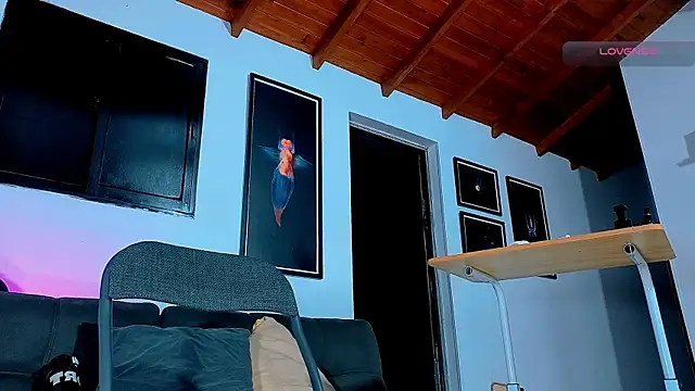 SilvaBranko webcam