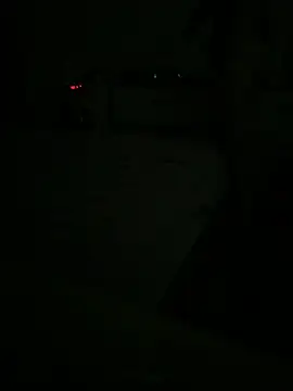 kotkite webcam