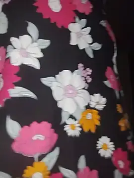 THEBEDroomdoOR webcam