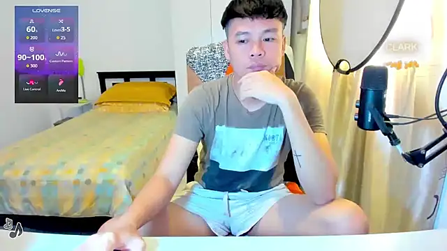 clarkdangerous webcam