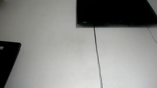Fox_Loves webcam