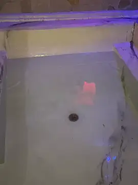 mandi4pole_ webcam
