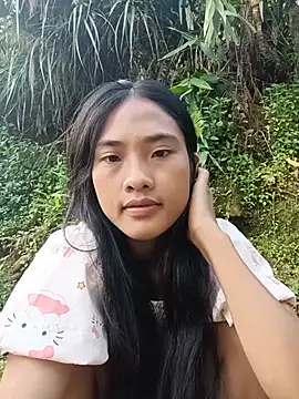 Hoa-tuylip webcam