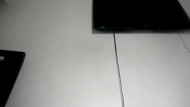 Fox_Loves