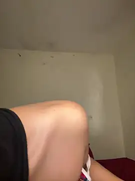 arabayla webcam