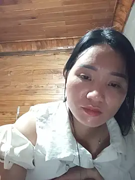 Td3di webcam