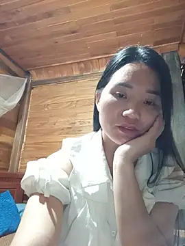 Td3di webcam