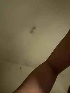 arabayla webcam
