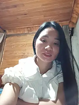 Td3di webcam