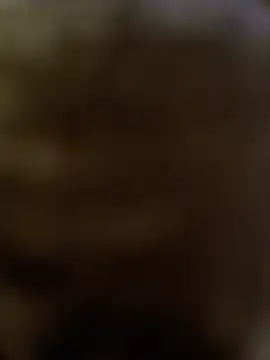 DomDix webcam