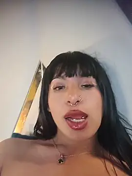 MeelFox webcam